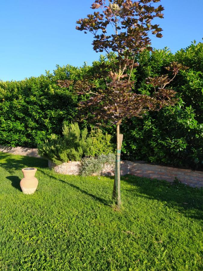 Soggiorno In Relax Correggioverde Εξωτερικό φωτογραφία